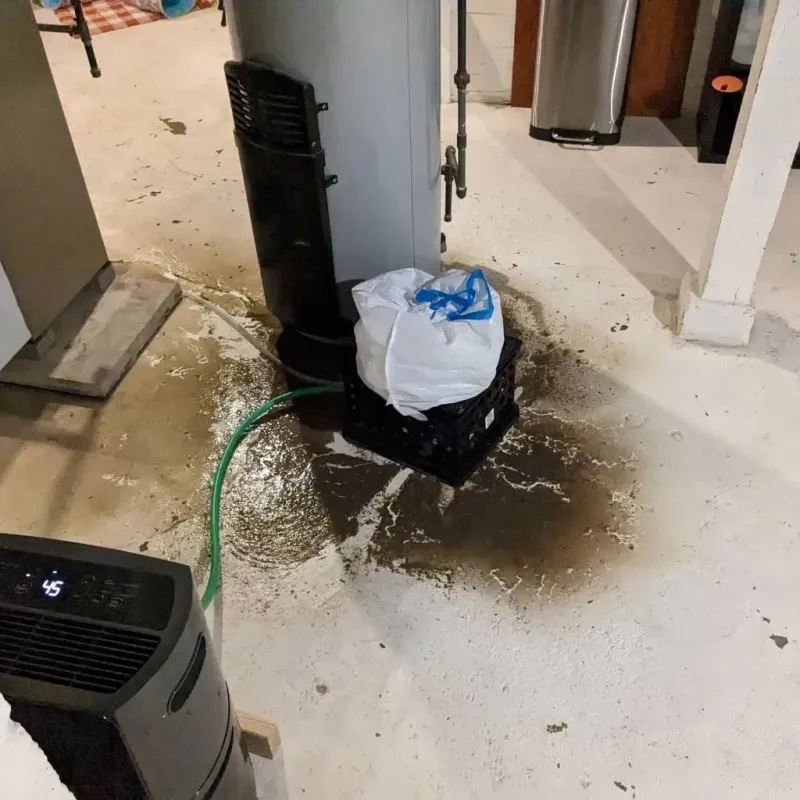 Sewage Backup Cleanup Service in Central, SC